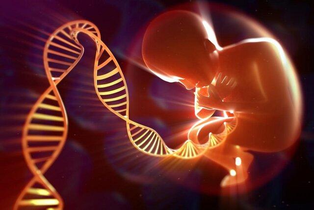 پدر یا مادر؛ کدام یک مسئول جهش‌های ژنتیکی فرزند هستند؟