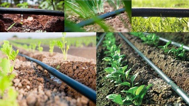 قانون جلوگیری از خرد شدن اراضی باید اصلاح شود