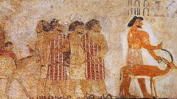 راز دست‌های بریده کشف‌شده در قصر باستانی متعلق به ۳۵۰۰ سال پیش در مصر
