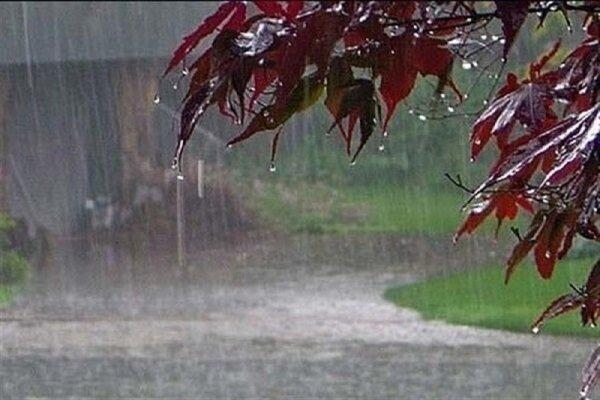 بارش باران در دالاهو و سیلابی شدن سراب کرندغرب