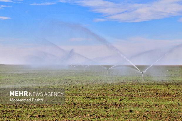 افتتاح عملیات آبرسانی به دشت قره بلاغ جلفا