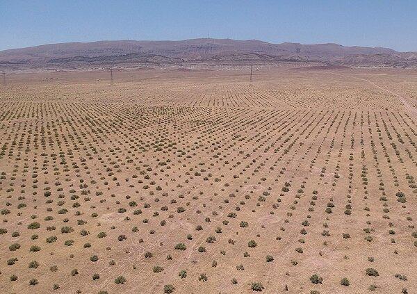 نخستین همکاری‌های تحقیقاتی ایران و چین برای تثبیت ماسه‌های روان