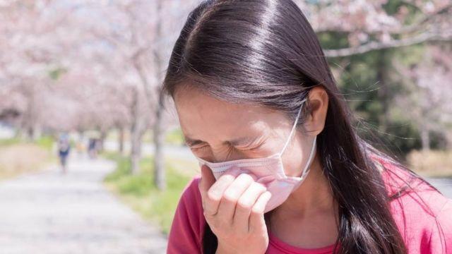 آلرژی فصلی در ژاپن: آیا جنگ جهانی دوم مقصر بحران آلرژی است؟