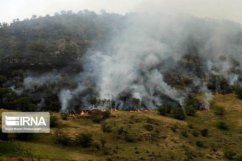 آتش سوزی جنگل‌های سردشت مهار شد