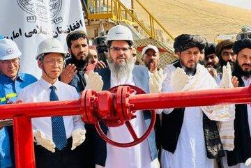 طالبان استخراج نفت را آغاز کرد/عکس