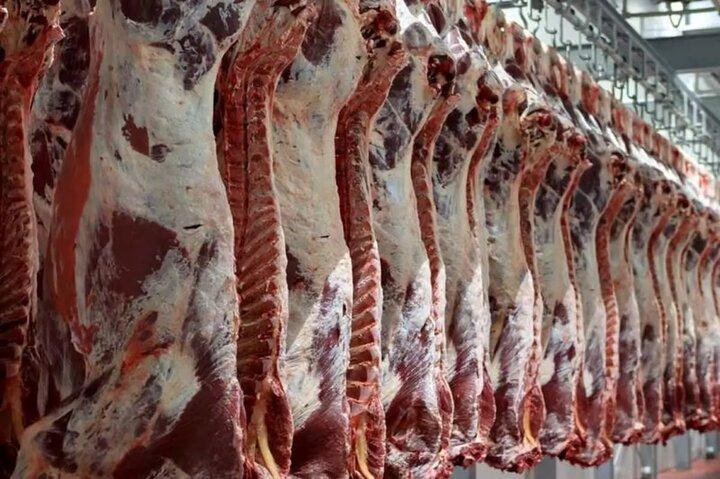 توپ اهمال کاری تاخیر در ترخیص گوشت برزیلی از زمینی به زمین دیگر