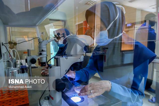 بررسی لایحه ساماندهی اهدای جنین در مراکز درمان ناباروری