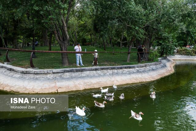 ۲۰ سال است که کسی حرف ما را گوش نمی‌کند/ ما دانشگاهیان چوب جادویی برای تولید آب نداریم