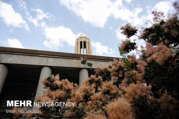 یادواره حکیم هزاره‌ها در سال جهانی شدن کهن دیار همدان