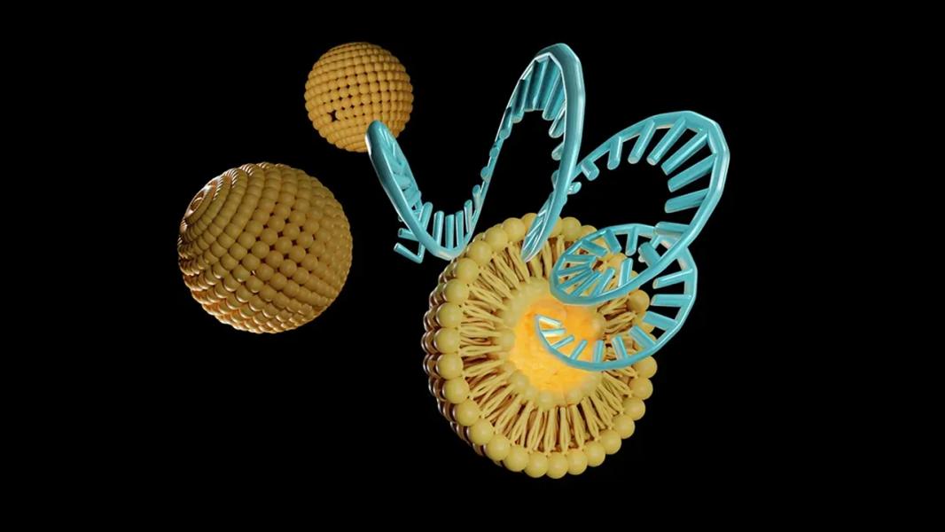 نانوذرات مهندسی شده محدودیت‌های فعلی رهایش دارو را رفع می‌کنند