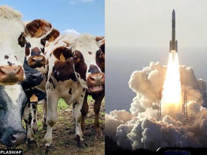 تولید سوخت موشک از فضولات دام در این کشور