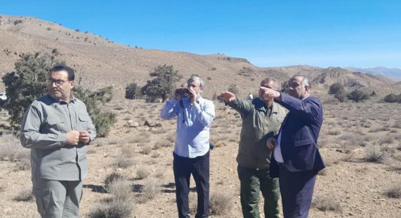تصادفات جاده‌ای موجب مرگ ۲هزار جانور در پارک ملی گلستان شد