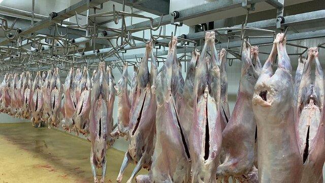 ۲۵ کشور جهان آمادگی خود را برای واردات گوشت به ایران اعلام کردند