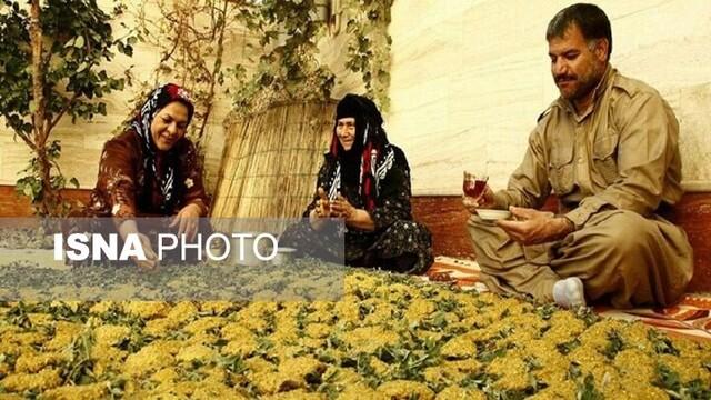 ترخینه؛ غذای محلی ایلامی‌ها در فصل سرد سال