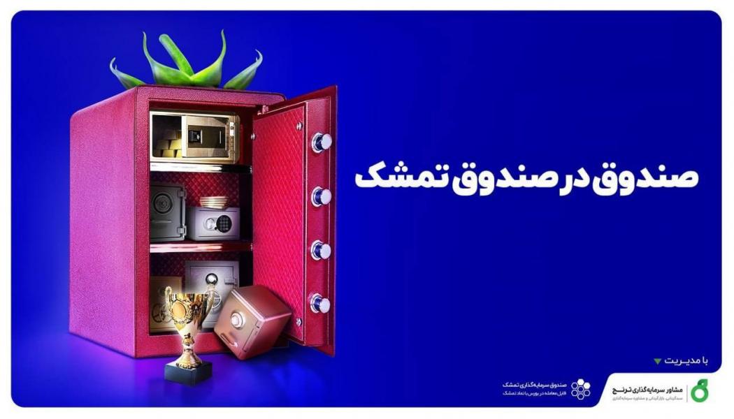 صندوق تمشک، سرمایه‌گذاری با نقدشوندگی آنی