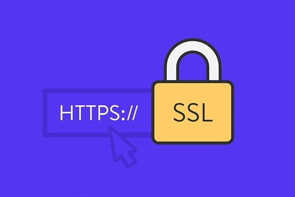 آشنایی با انواع مختلف گواهینامه ssl و تفاوت آن ها