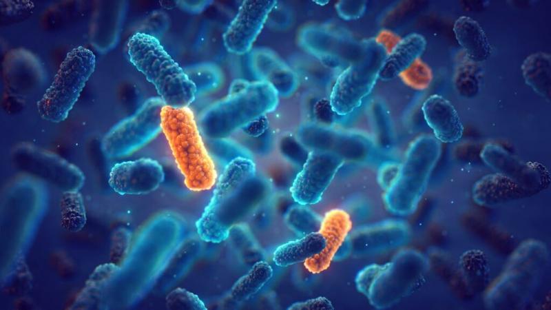 توسعه اسپری نانویی که مانع اتصال پاتوژن‌ها به سطح می‌شود