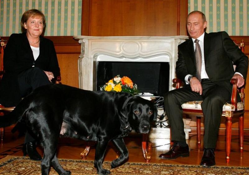 سگ رئیس‌ جمهوری مولداوی دست همتای اتریشی صاحبش را گاز گرفت