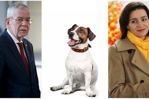 سگ رئیس‌ جمهوری مولداوی دست همتای اتریشی صاحبش را گاز گرفت  - Gooya News