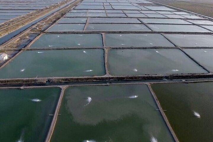 توسعه مکانیزاسیون مزارع آبزی‌پروری در لرستان
