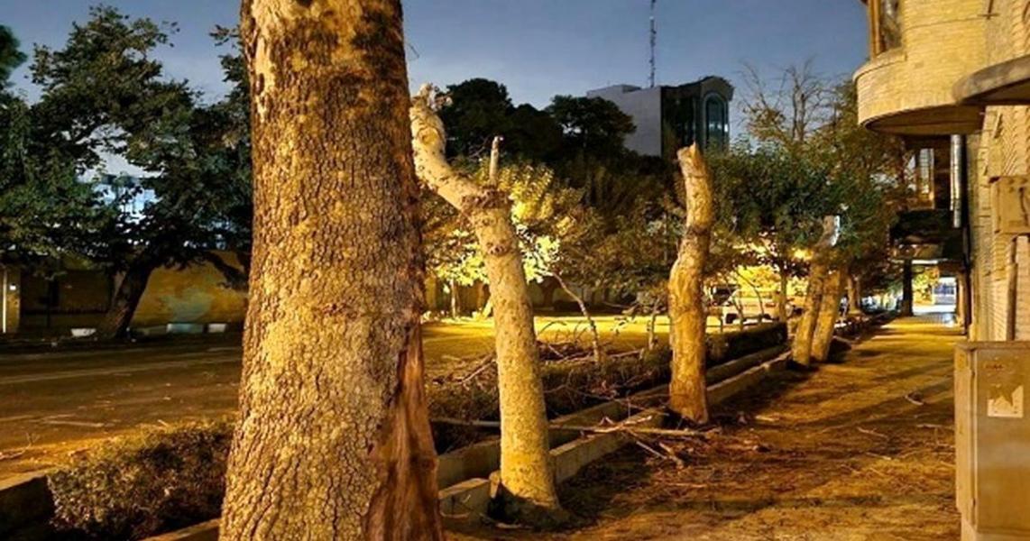 عجله زاکانی و شرکا برای نابودی پنج درصد باغ‌های باقی‌مانده تهران