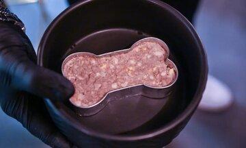 افتتاح اولین رستوران سگ‌ها در ایتالیا/ عکس