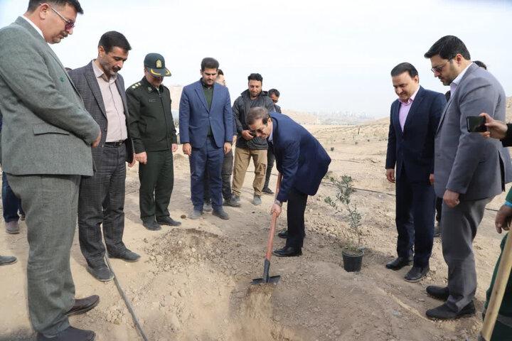 اجرای پویش «صبح زیتون» برای حمایت از غزه در قم آغاز شد