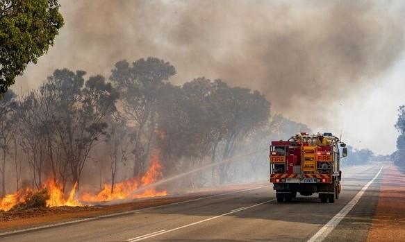 آتش‌سوزی‌های جنگلی دستاوردهای کاهش آلودگی هوا را از بین می‌برد