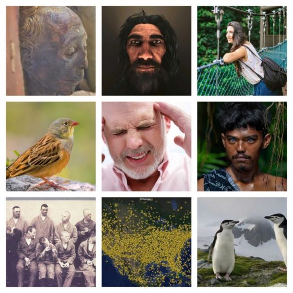 شگفتی‌های ساده سیاره کوچک ما