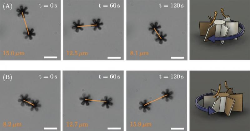 مهندسی پروانه‌هایی در ابعاد نانو با قابلیت حرکت کنترل شده