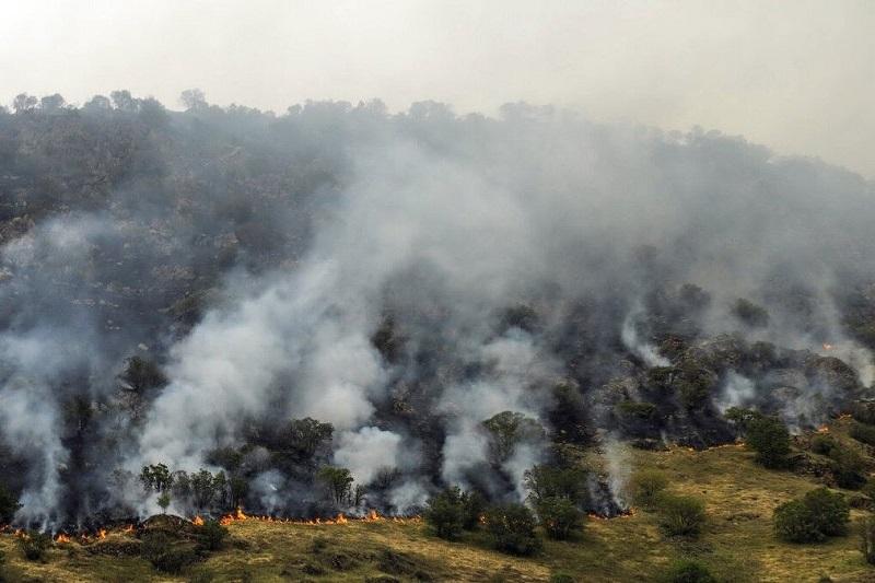 آتش‌سوزی بخشی از جنگل‌های چالوس خاموش شد