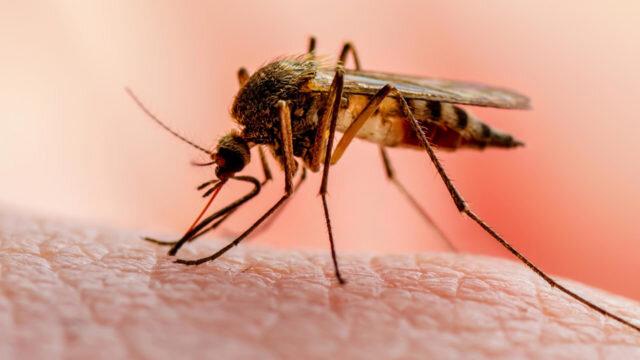 ردپای تغییرات آب‌وهوایی در ابتلا به مالاریا