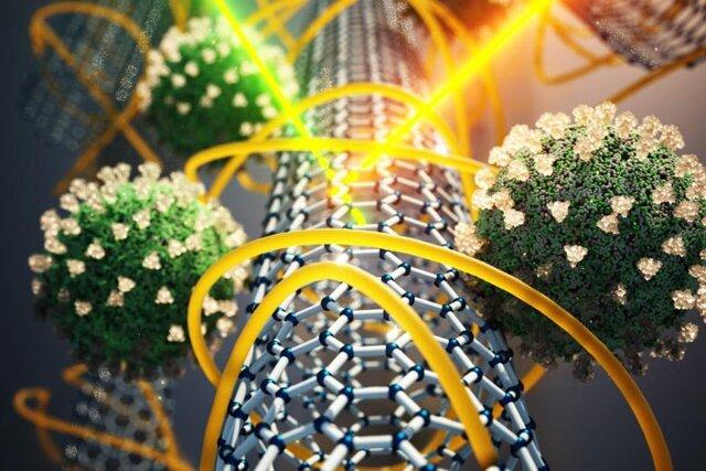 ساخت نانو زیست‌حسگر الکتروشیمیایی برای تشخیص روتا ویروس‌ها