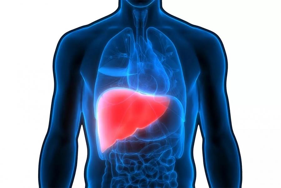 ۵ علامت مشکلات کبدی که در پاهایتان ظاهر می‌شود