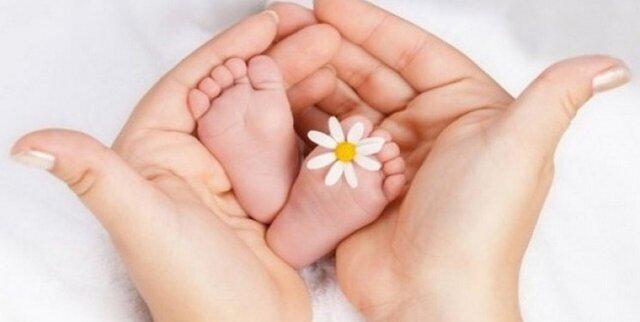 کاهش ۶ درصدی نرخ موالید در رفسنجان و انار