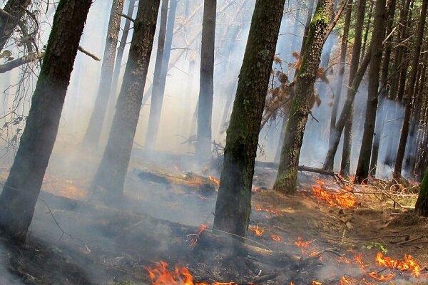 تصاویری از وقوع آتش سوزی در جنگل های سراوان رشت