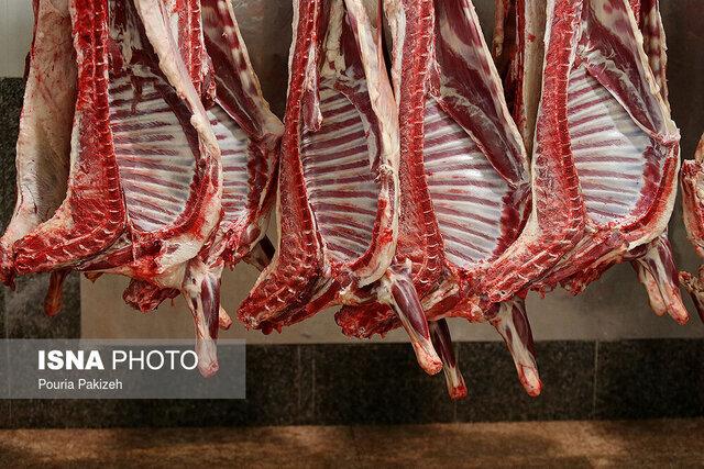 سیستان و بلوچستان ظرفیت تامین گوشت کشور را دارد