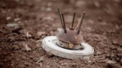 یک شهروند اهل گیلانغرب در پی انفجار مین در منطقه مرزی ایران و عراق کشته شد