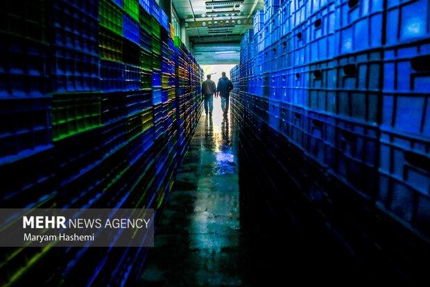 اسناد توسعه صنعتی در قفس مانده است/ استراتژی توسعه اقتصادی نداریم