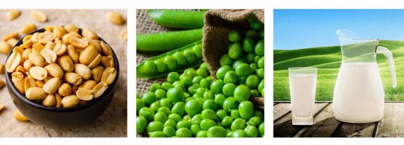 سه جایگزین مناسب برای گوشت