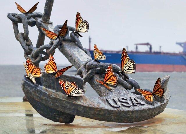 تسویه‌حساب پروانه‌ای