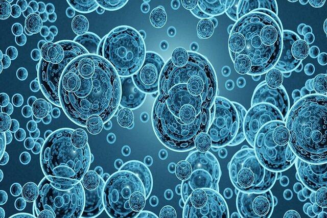 چرا نانوحباب‌ها نسبت به میکروحباب‌ها بهتر هستند؟