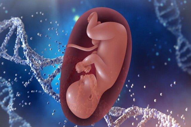 با نانوذرات لیپیدی استفاده از برخی داروها برای زنان باردار ایمن می‌شود