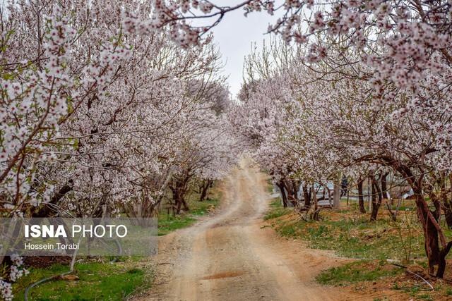 بهاریه‌هایی برای بچه‌ها