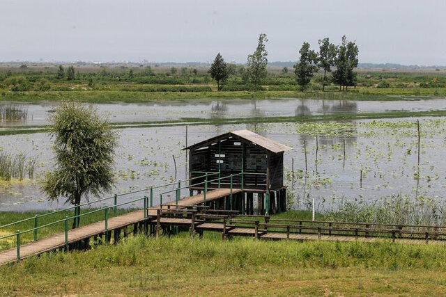 پناهگاه حیات وحش سلکه؛ تالابی دائمی با آب شیرین