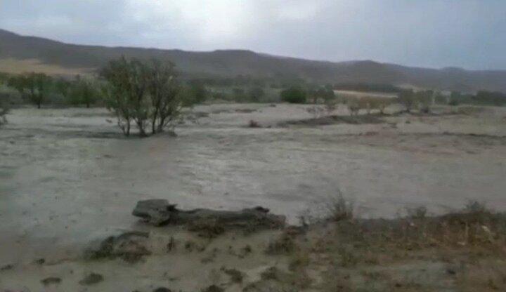 بارش باران و جاری شدن سیل و سیلاب در تازه آباد و سرپل‌ذهاب