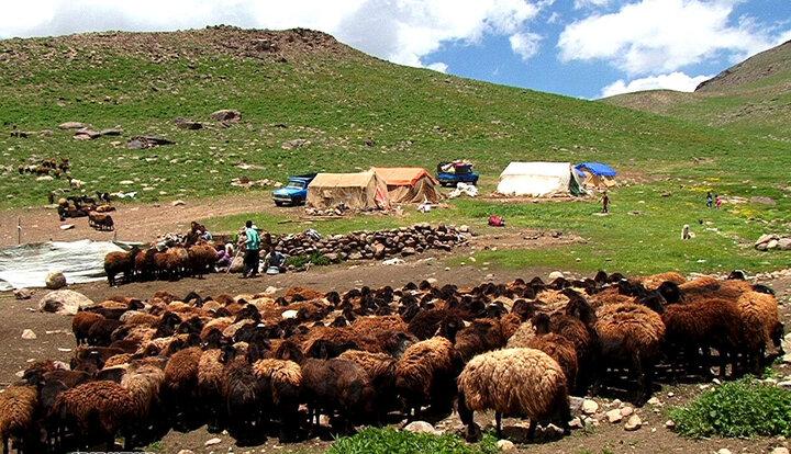 بیمه رایگان برای مادران روستایی و عشایر دارای ۳ فرزند در کرمانشاه