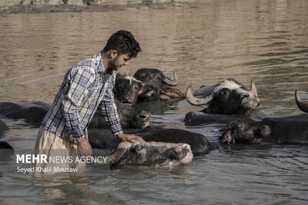 اسناد مالکیت ۲۵ هزار هکتار حریم و بستر رودخانه در خوزستان صادر شد