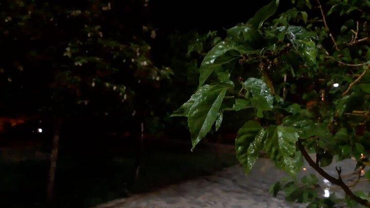 طغیان رودخانه‌ها؛ هشدار وقوع سیلاب در سه استان جنوبی کشور