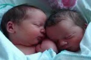 ماجرای عجیب دوقلوهای زنده در سردخانه بیمارستان امام سجاد یاسوج - Gooya News